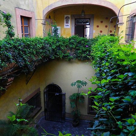 Lele Panchito y Lavanda Juntos en el Centro Querétaro Exterior foto