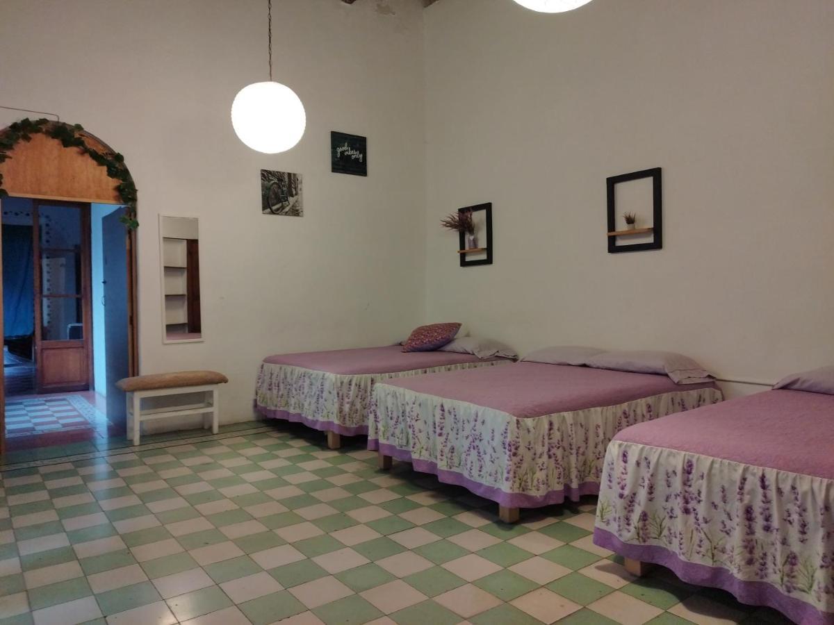 Lele Panchito y Lavanda Juntos en el Centro Querétaro Exterior foto