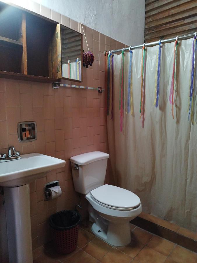 Lele Panchito y Lavanda Juntos en el Centro Querétaro Exterior foto