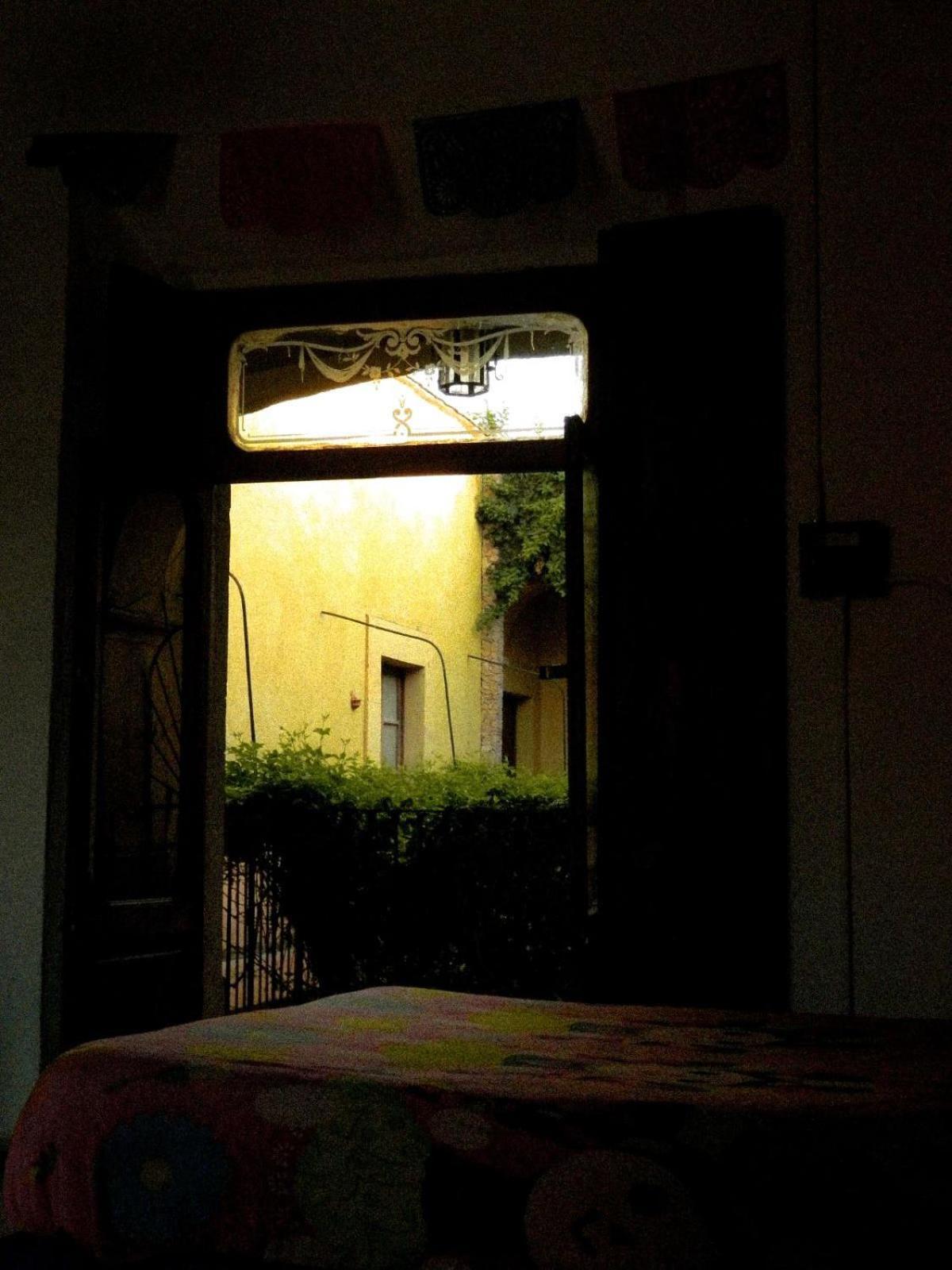 Lele Panchito y Lavanda Juntos en el Centro Querétaro Exterior foto