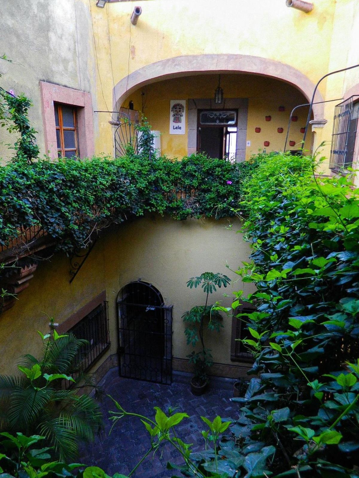 Lele Panchito y Lavanda Juntos en el Centro Querétaro Exterior foto